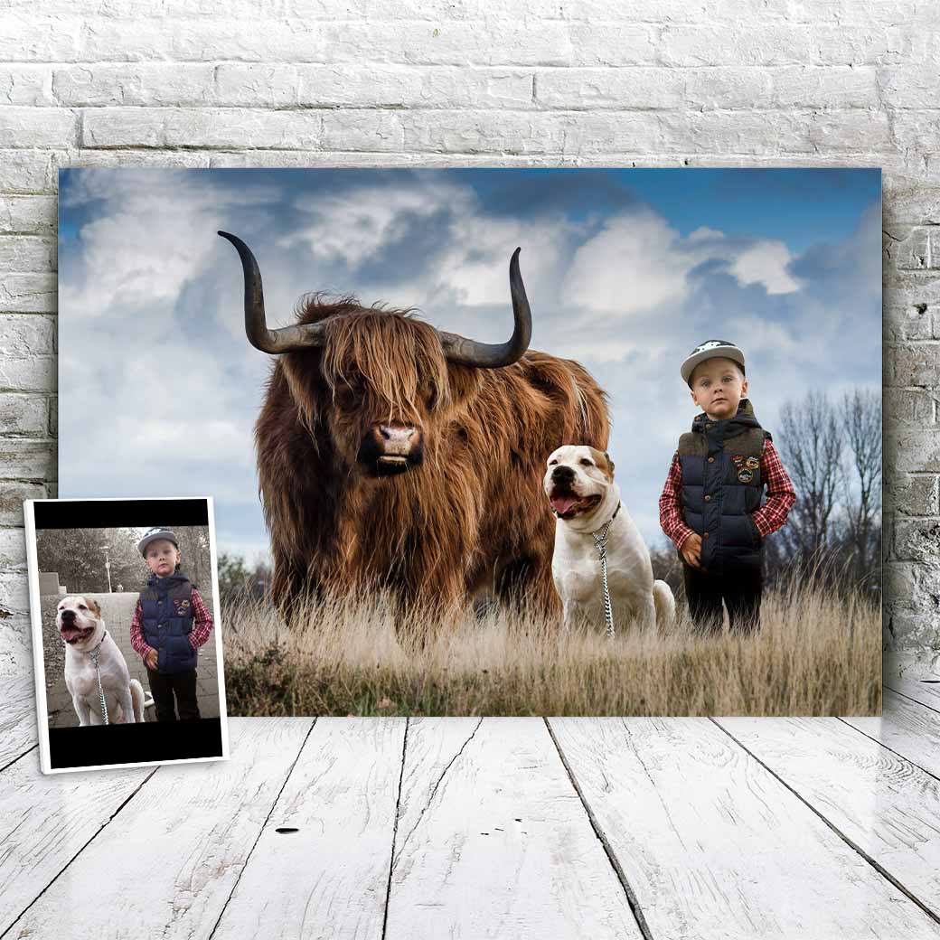 Schottischer Hochländer