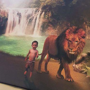 Jungle leeuw - Unieke Foto